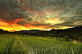 طبيعة ساحرة: صور رائعة للطبيعة مرسومة بألوان زيتية