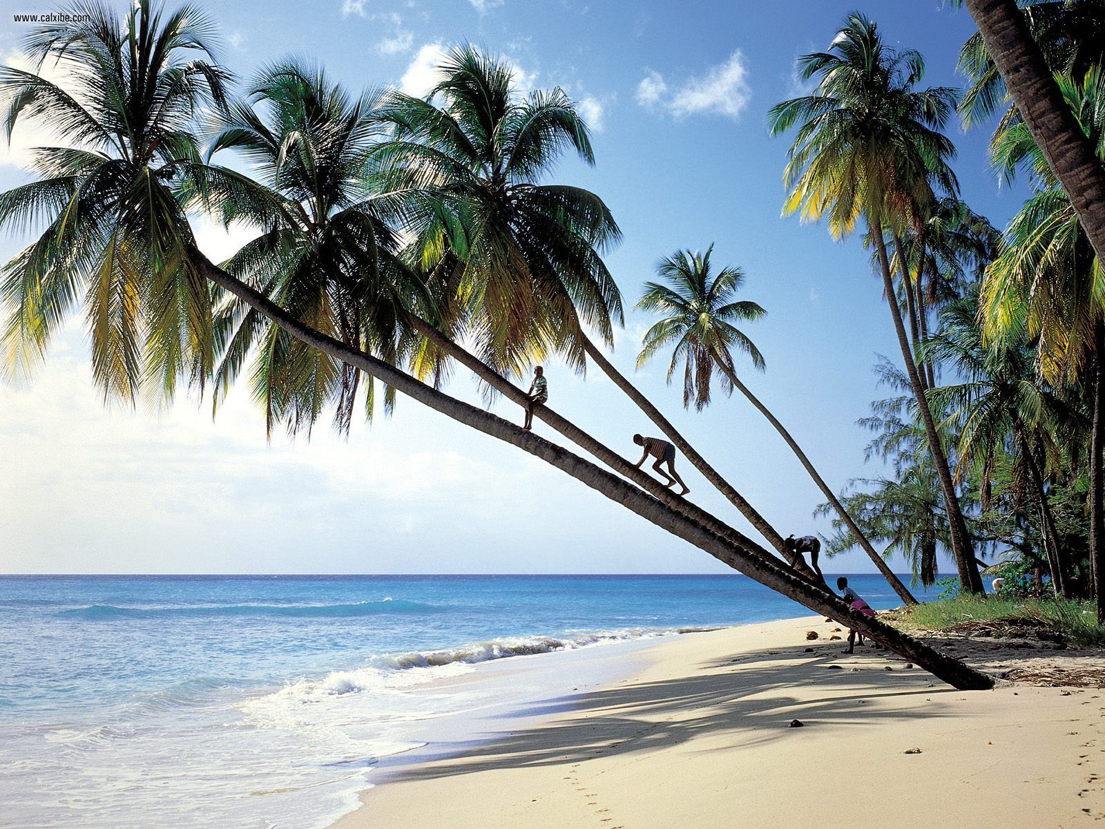 http://3.bp.blogspot.com/-LrDTL82Z-SY/T5gP5iCDWrI/AAAAAAAAADE/zL-fFFK79zs/s1600/Gibbs_Beach_Mullins_Bay_Barbados.jpg