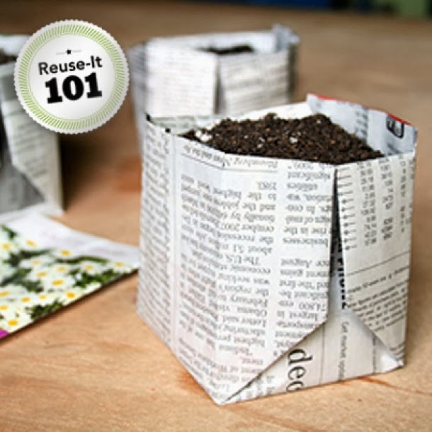 Use Newspaper as biodegradable planter 101 Gardening