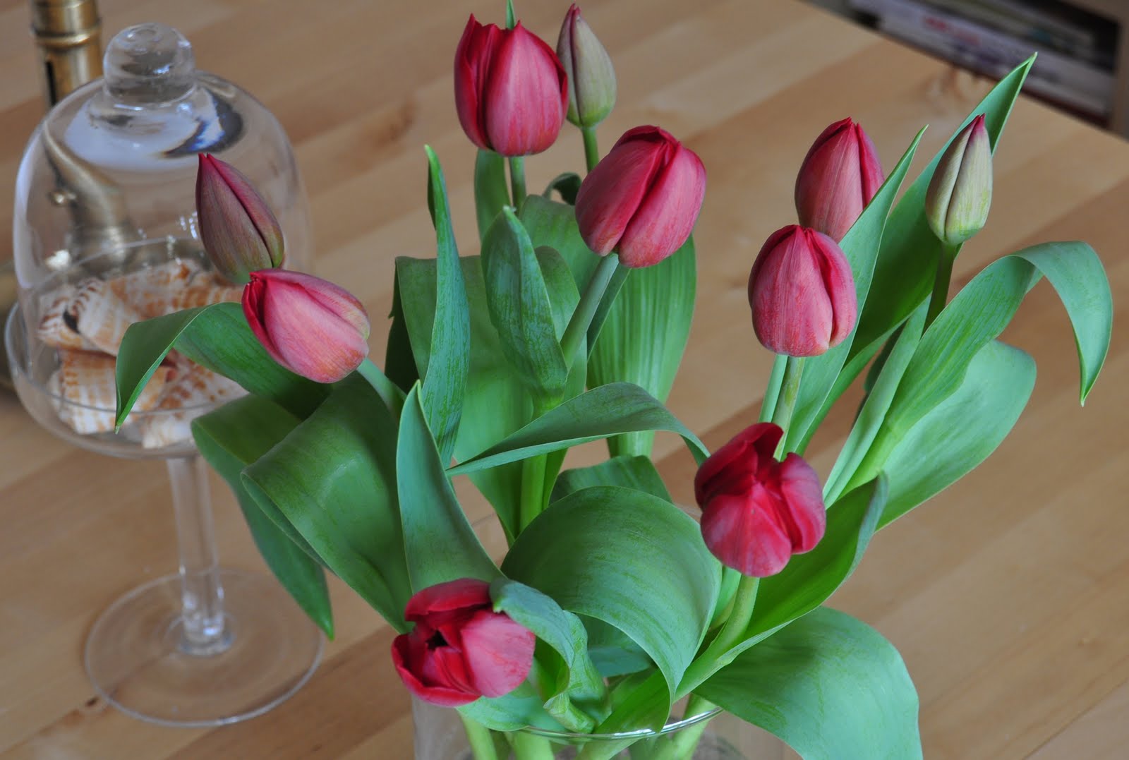 creatief