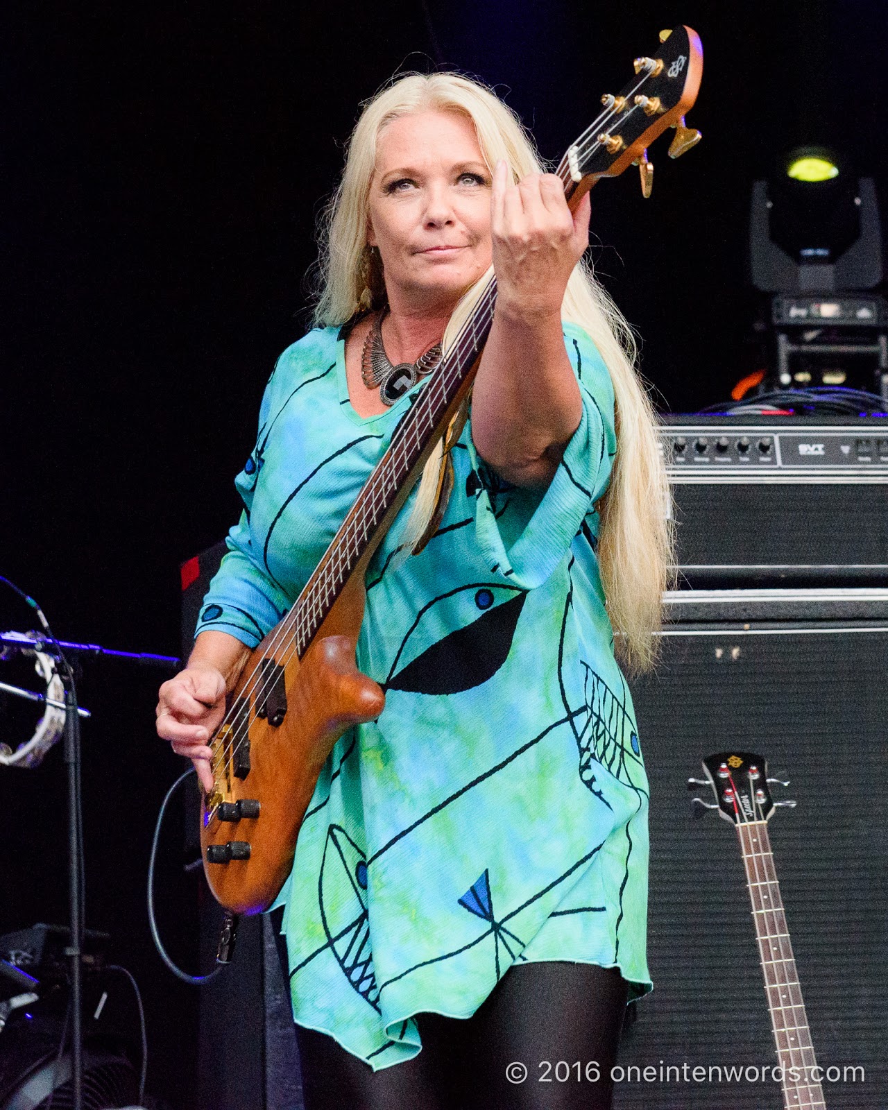 one in ten words The Ex 2016 The Spoons at The Bandshell Concert