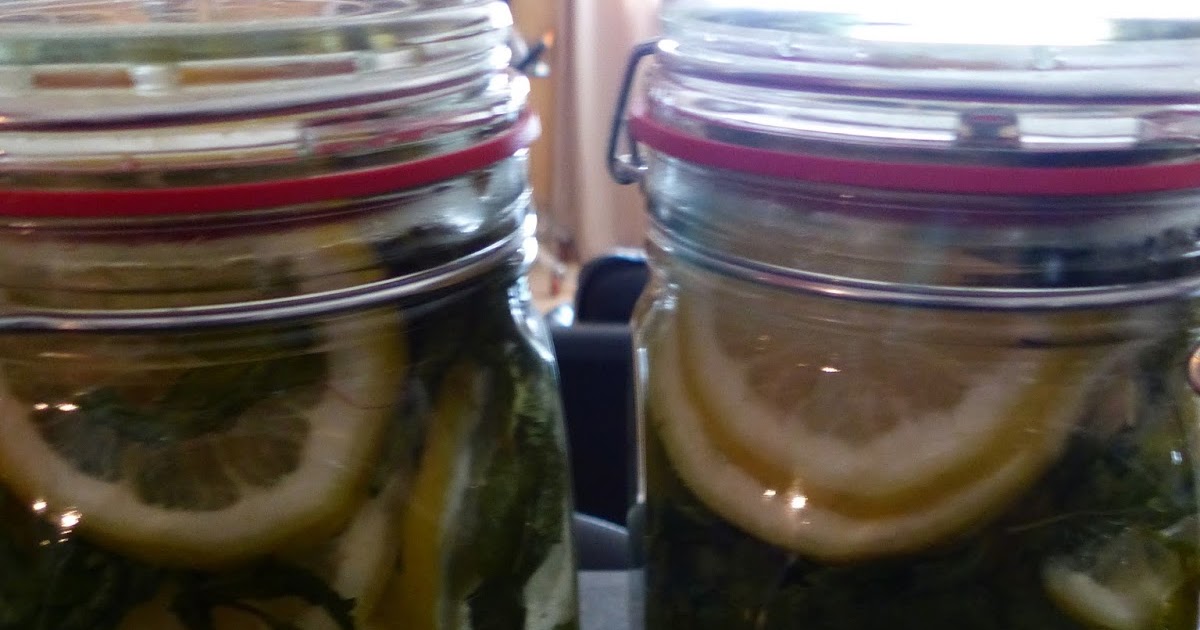 Verboten gut ⚠: Zitronenmelisse ~ Sirup &amp; Minzpower mit Zitronenmelisse ...
