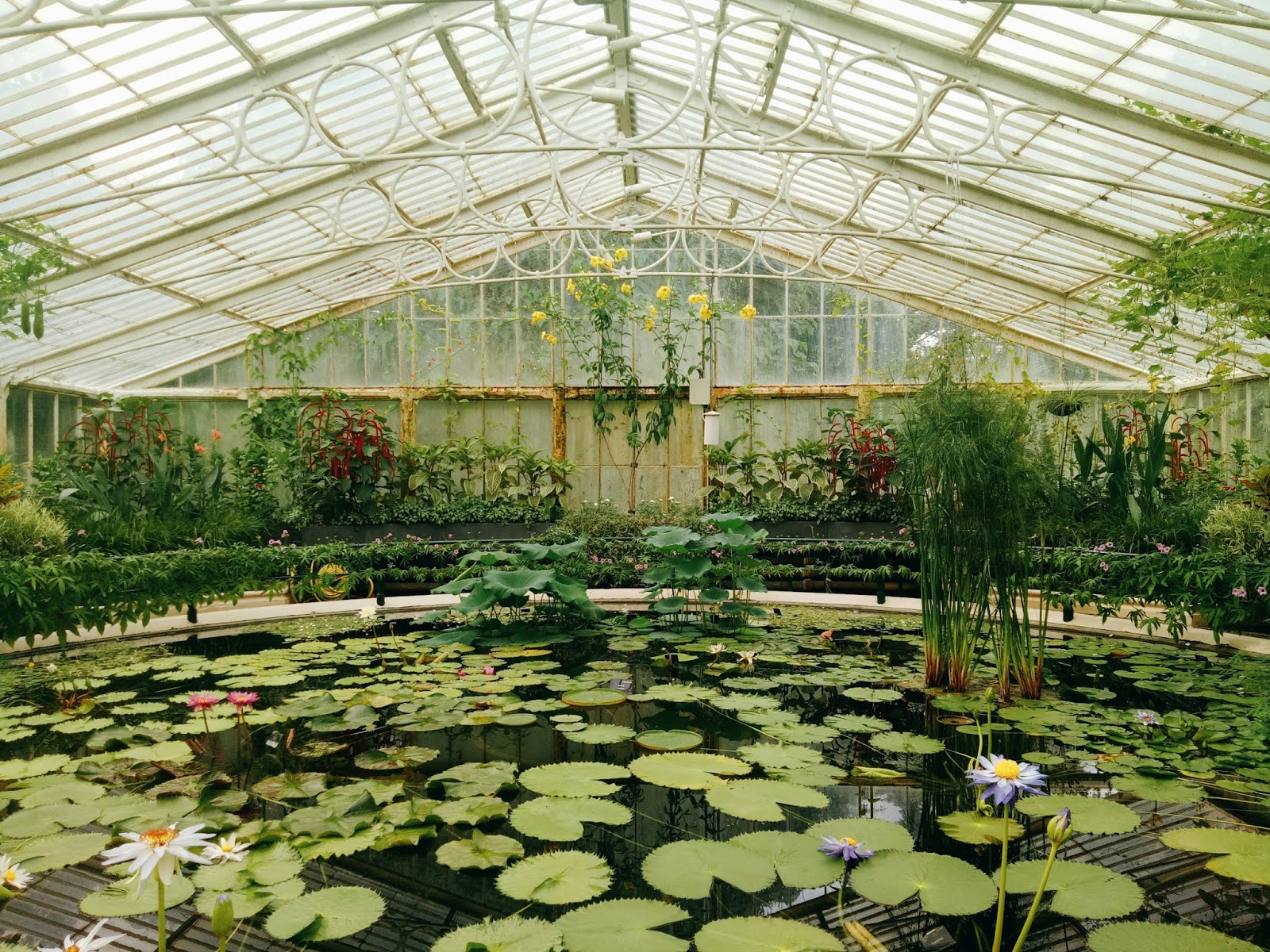 LONDON Inside Kew Garden's Greenhouses