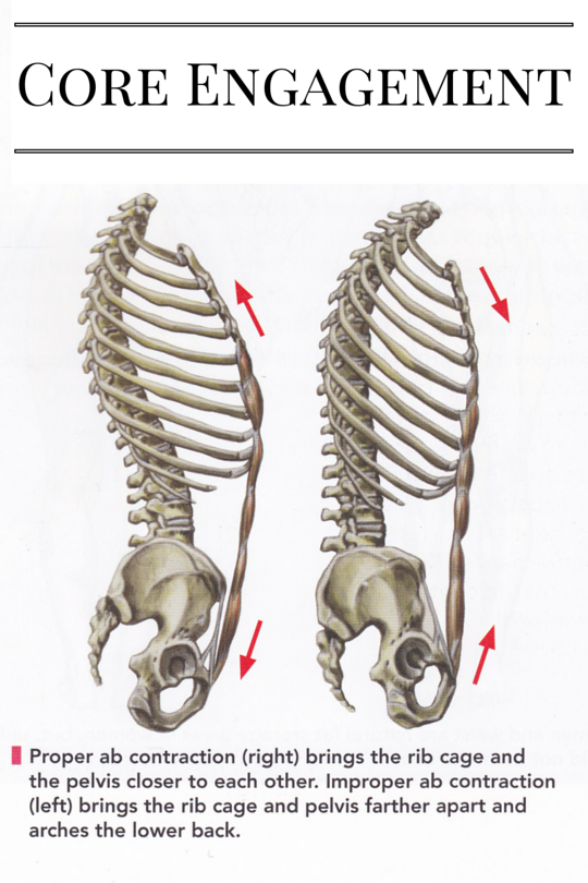 6 Core Training Exercises for Equestrians Savvy Horsewoman