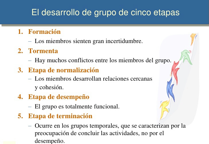 FOLCanarias Etapas de Equipo de Trabajo FOLCanarias Etapas de Equipo de Trabajo