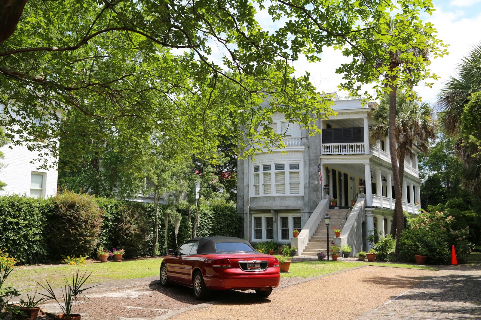 Charleston Daily Photo Rutledge Avenue favorite