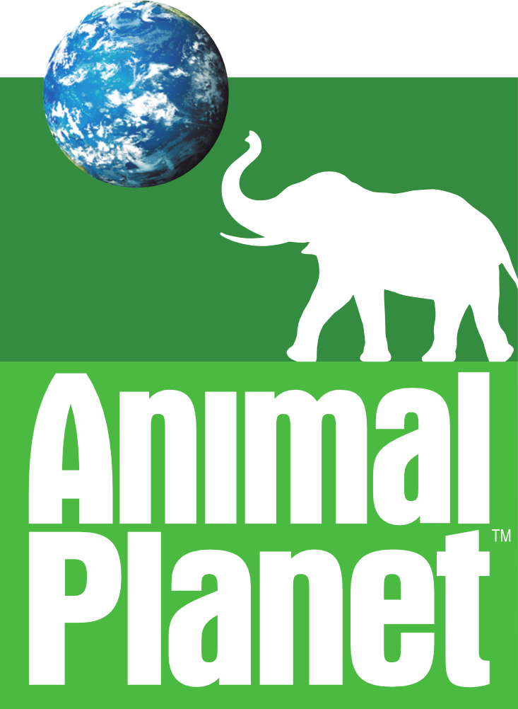 Animal Online totalmente gratis Futbol en vivo Online Gratis Canales Deportivos Animal Online totalmente gratis Futbol en vivo Online Gratis Canales Deportivos