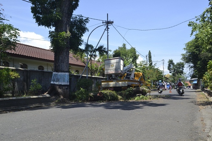Hadapi Cuaca Ekstrem Dlh Purworejo Pangkas Pohon Ayoman Kebumen