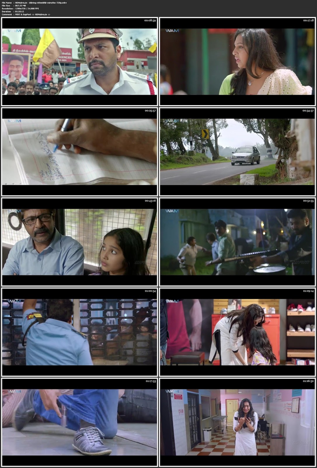 Daring Rakhwala (Miruthan) 2018 Hindi Dubbed 480p HDRip 350Mb Download
