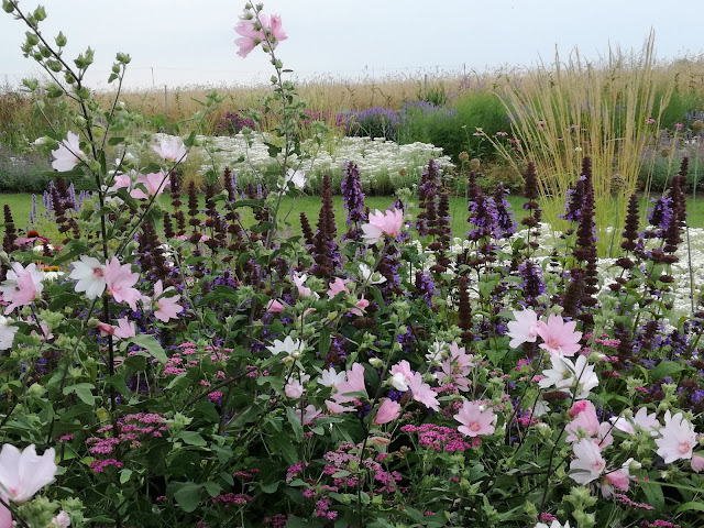 rabata bylinowa, perennial border, trawy w ogrodzie