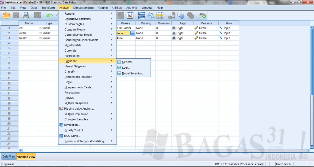 ibm spss ibm spss