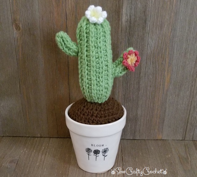 crochet-flowering-cactus-sew-crafty-crochet