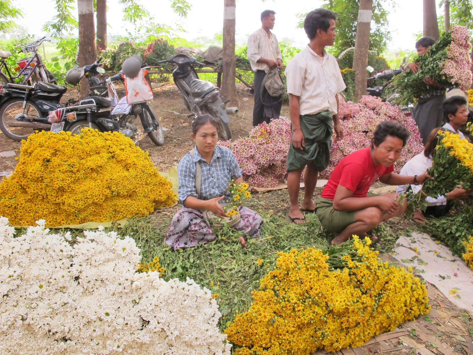 TRAVELS (and more) WITH CECILIA BRAINARD Garden The Flower Market of
