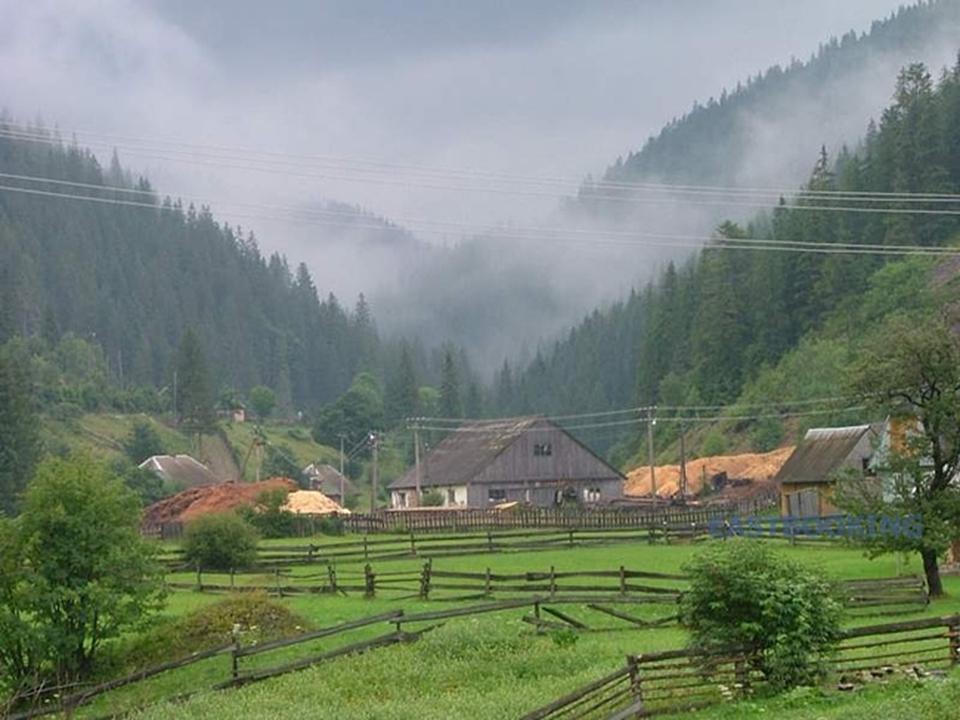 Долина город Закарпатье
