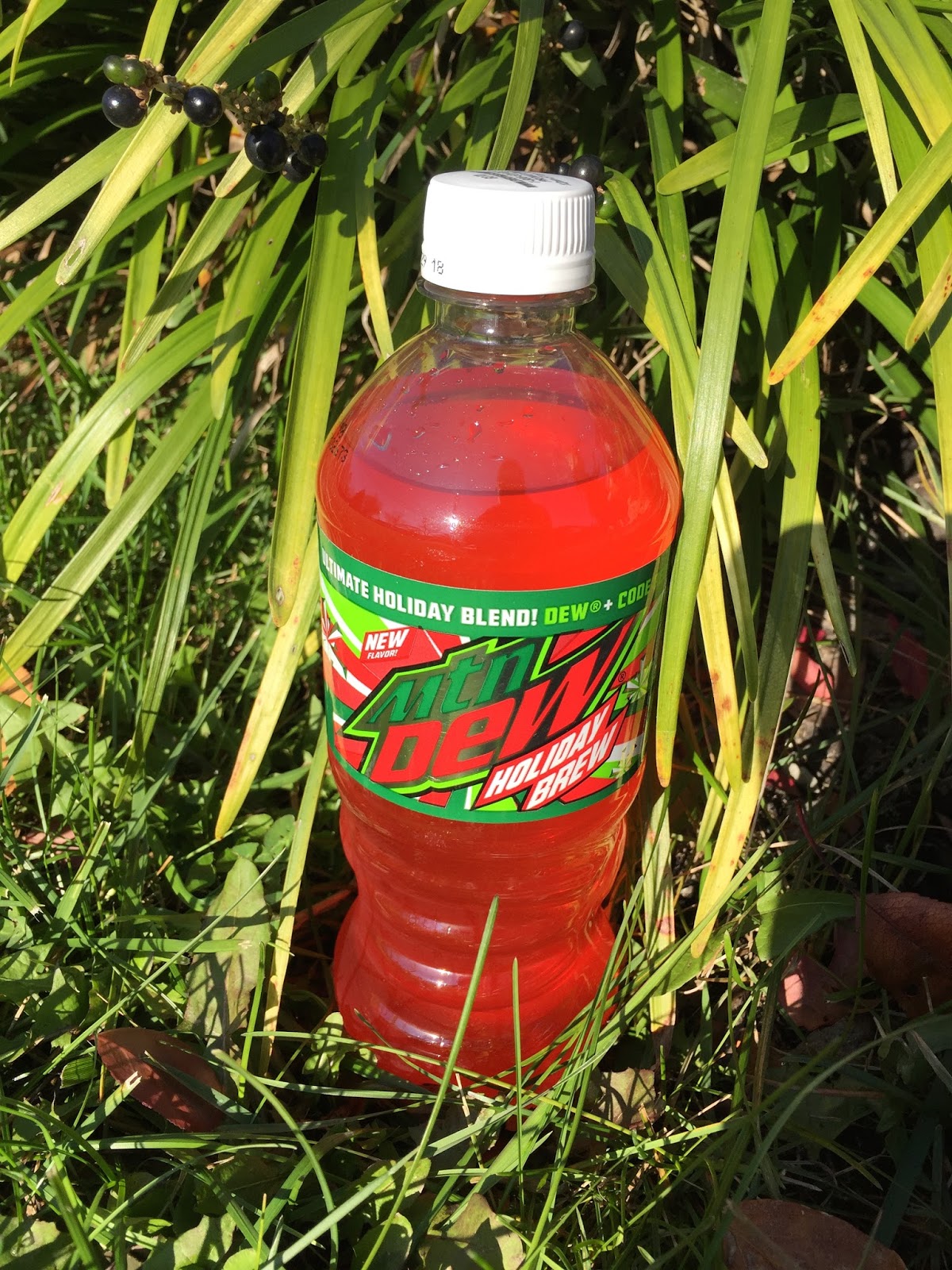 Review the World: Mountain Dew Holiday Brew 