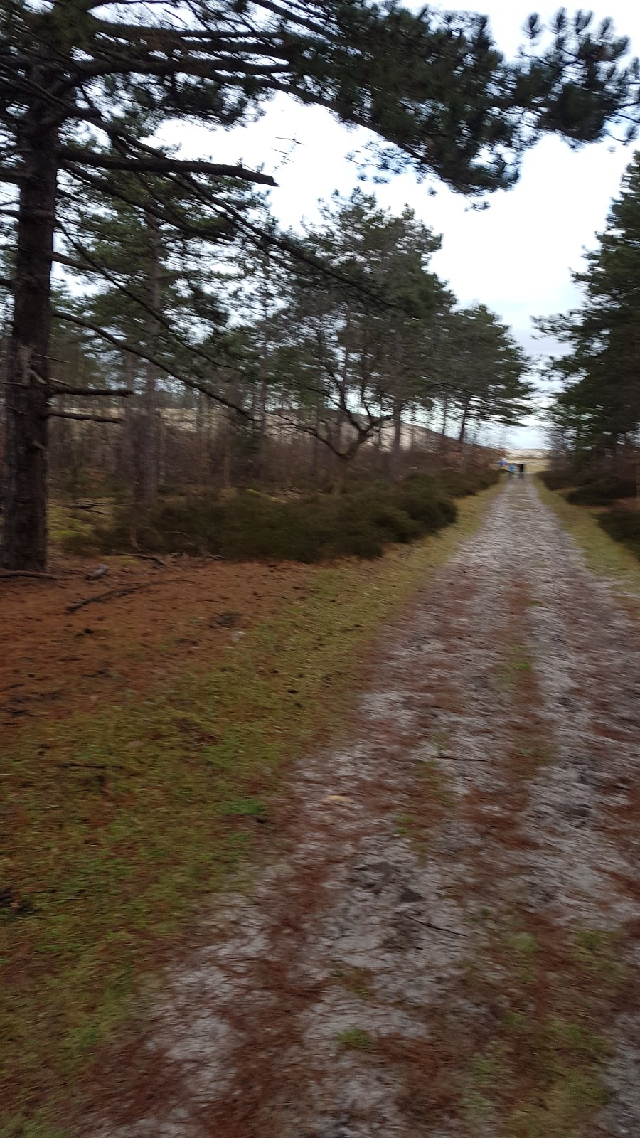 Vlinderjoyce Gedichten En Gedachten Liefde Vind Zijn Weg