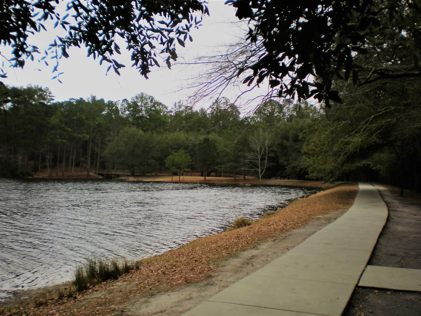Sesquicentennial State Park Columbia South carolina hiking, State