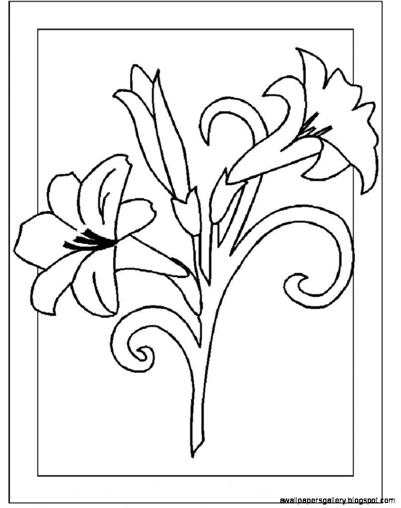 flowers to print and color