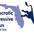 Democratic Progressive Caucus: Let Syrian Refugees Into Florida