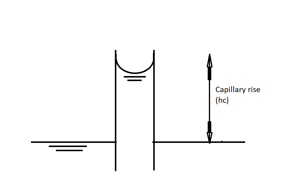 How [Capillary Action] Work in Water & Soil with Tube experiment Your Hop