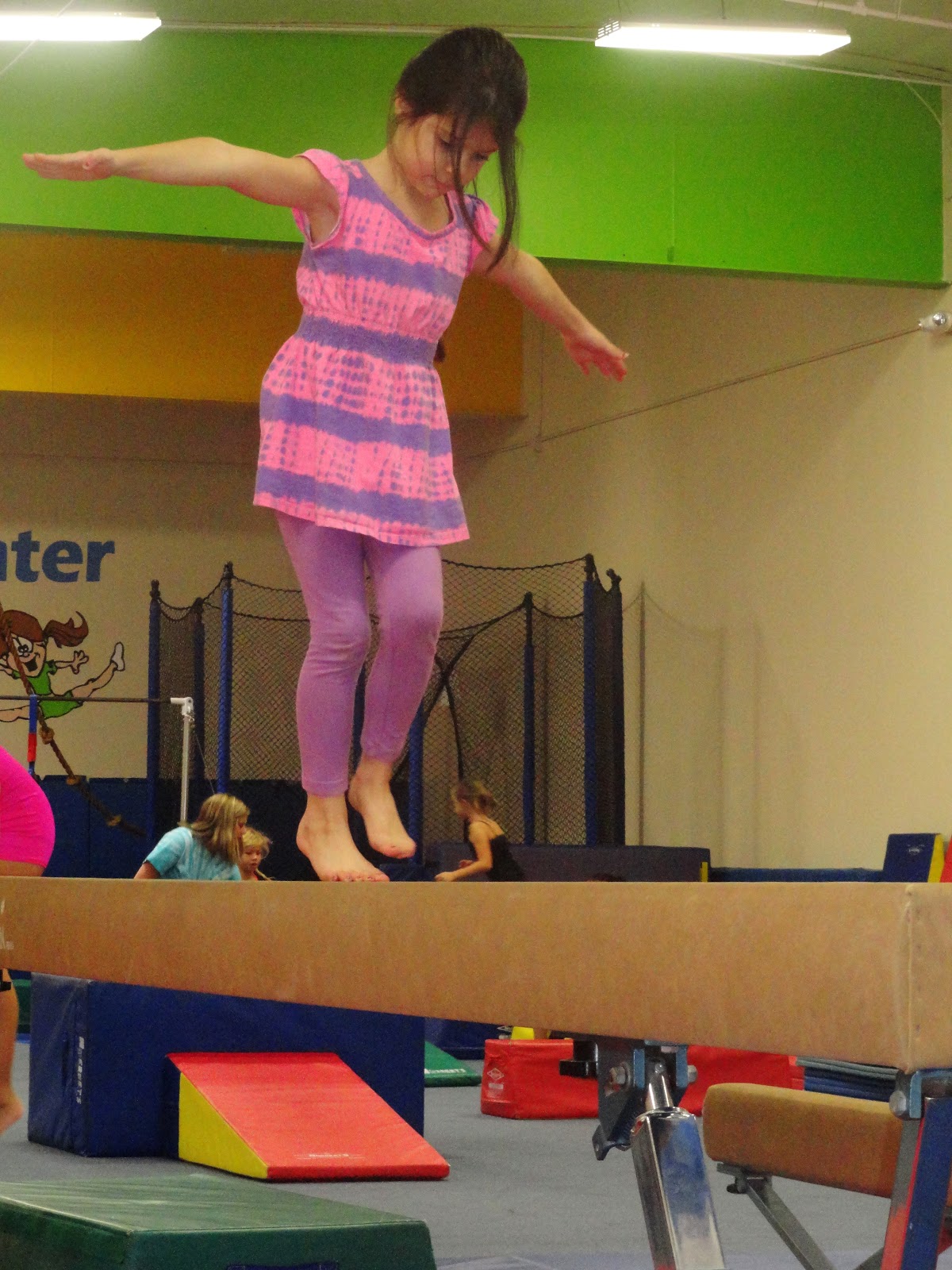 The Daily Lewis: Fit Kids Gymnastics