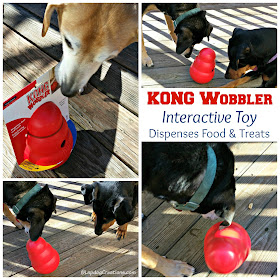 3 rescue dogs with interactive dog toy kong
