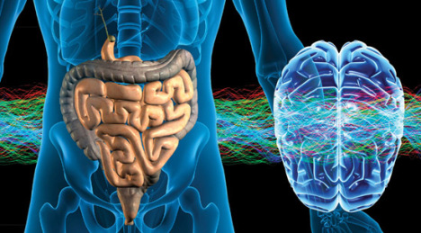Resultado de imagem para intestino segundo cerebro slides