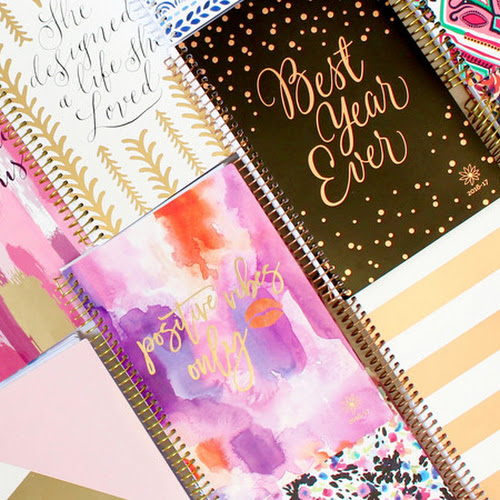 bloom daily planners 2016 17 pre orders renee beauty groupe