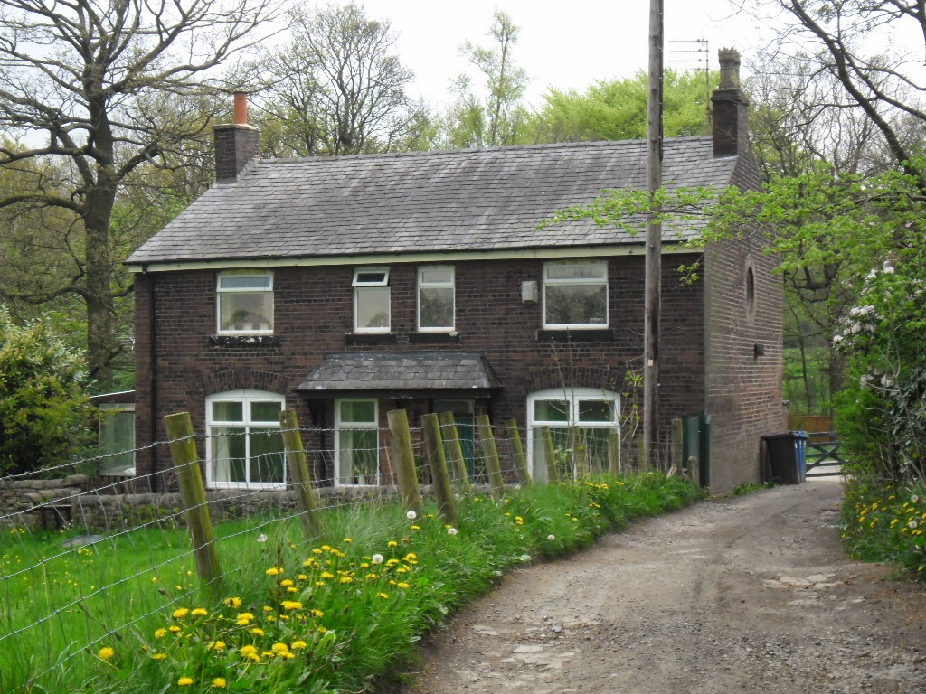 Pat Papertown 2 Bury Chesham Woods