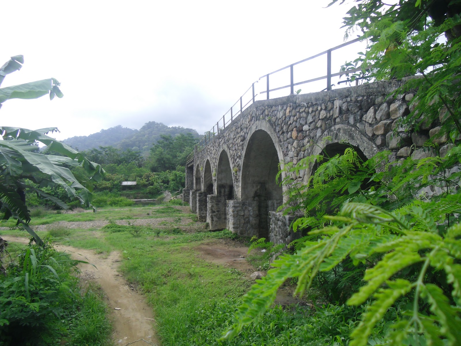 Avrila Ijen: Sukamade Tour