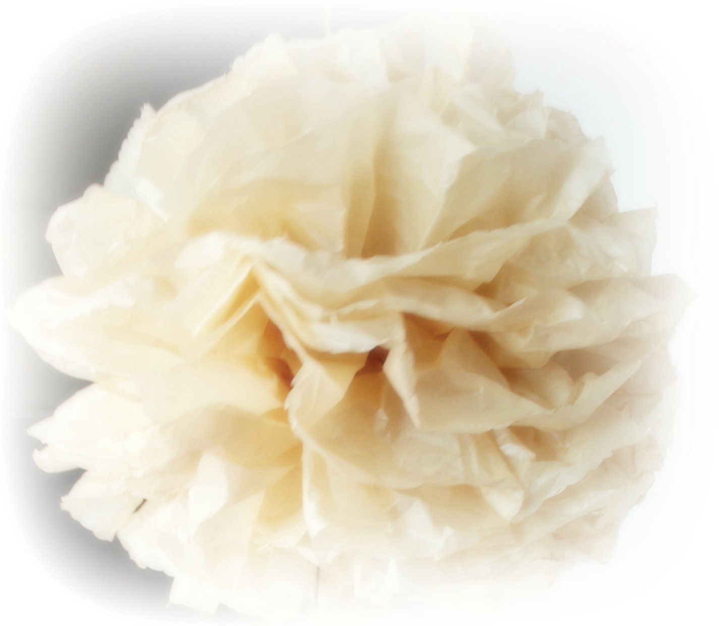 Do More With Less How to make tissue paper pom poms. )