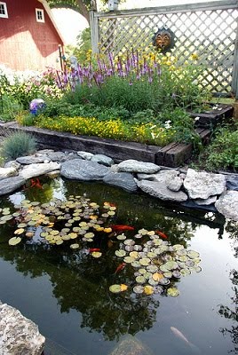 pond supplies