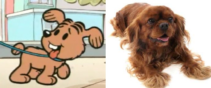 Cachorro da monica raça Clearance