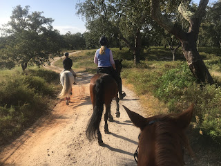 Portugal, Riitta Reissaa, Horsexplore, ratsastusmatka