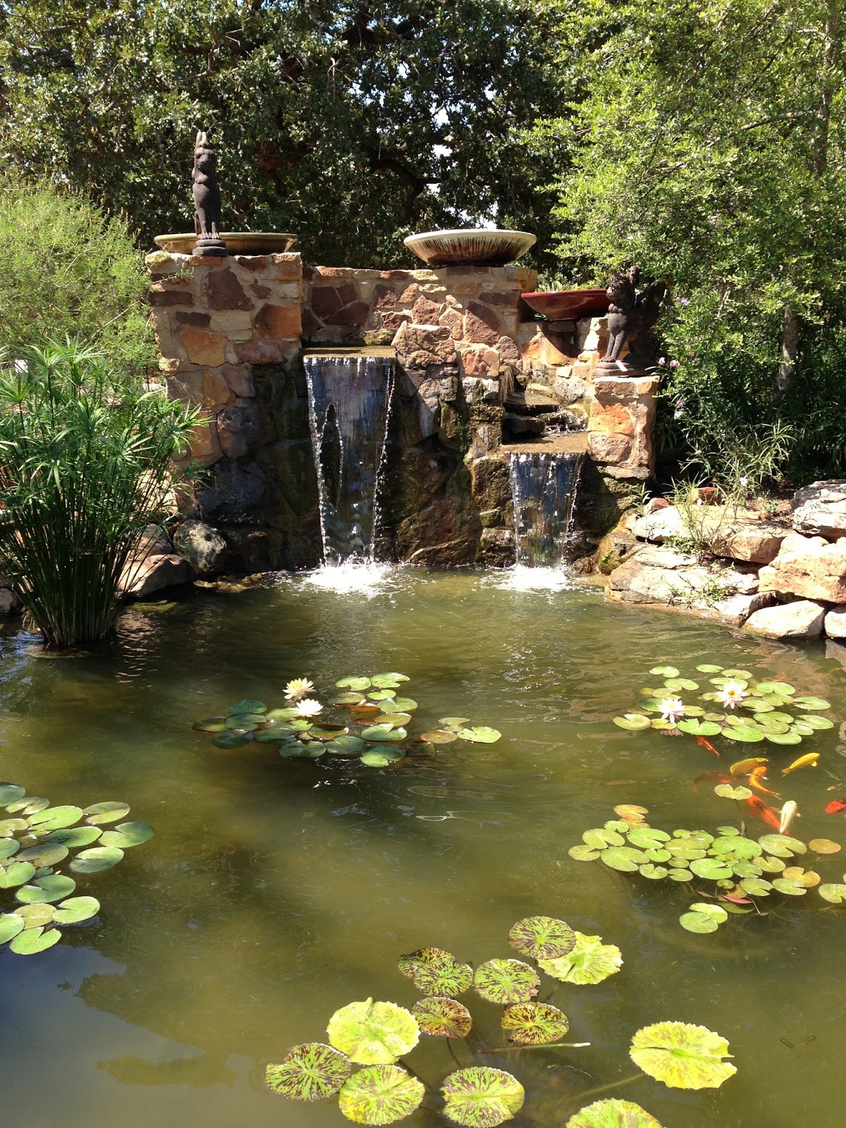 Probably THAT Mom Hill Country Water Gardens