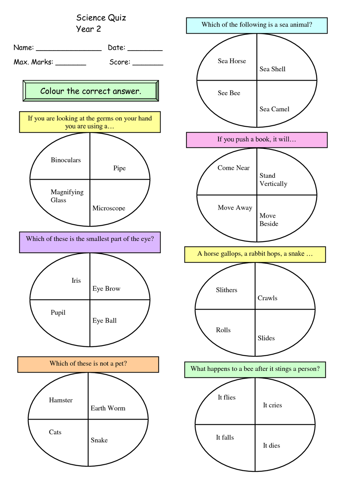 We Love Science Science Quiz for Year 2