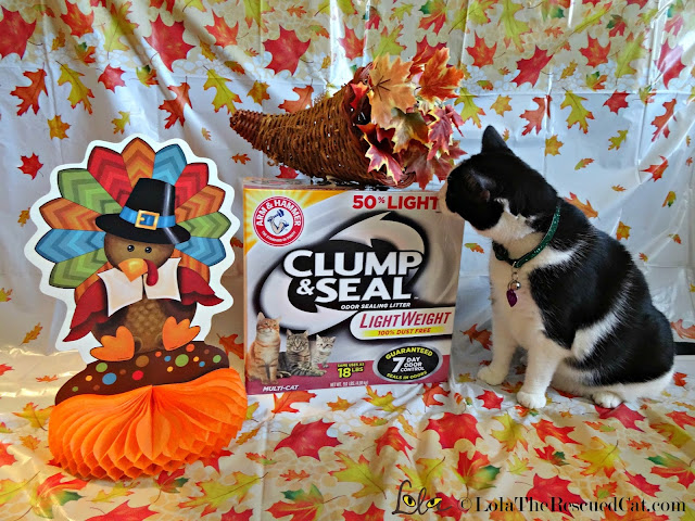 clump and seal litter|arm and hammer