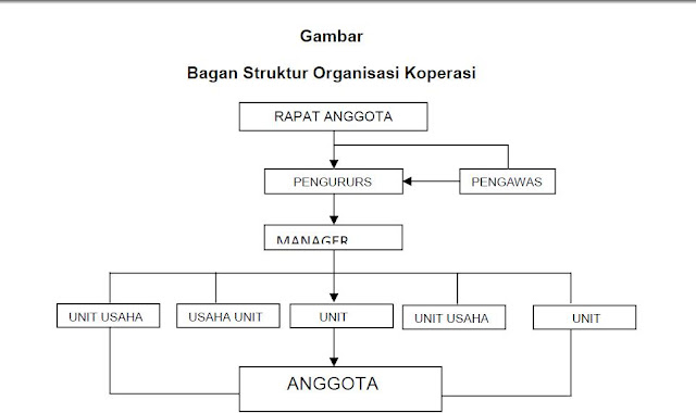 Struktur Organisasi Koperasi Struktur Organisasi Koperasi