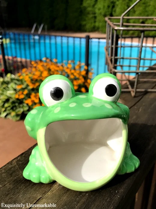 Thrift store frog scouring pad holder