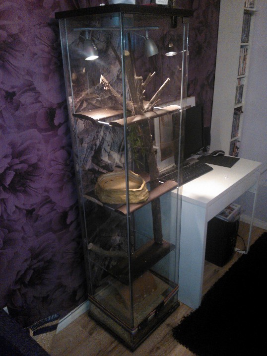 Ikea Detolf Vivarium Hack Cancer Science Review