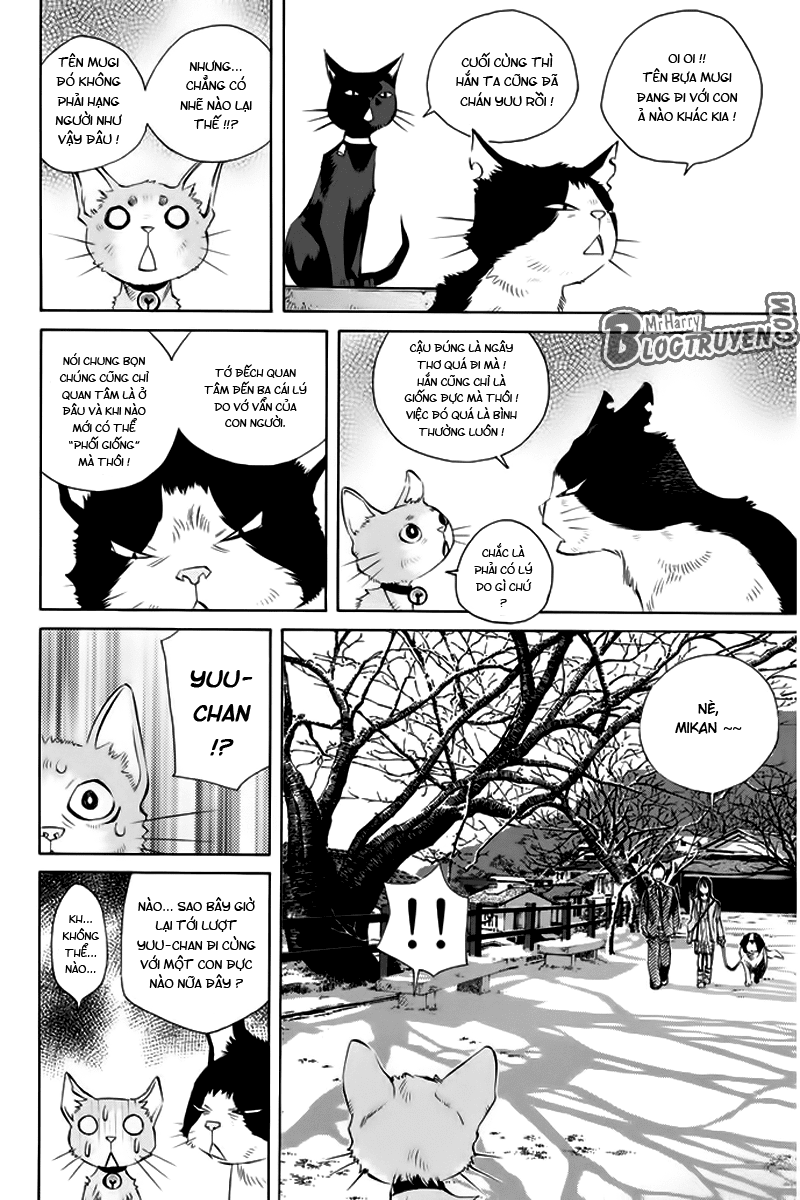 Pastel chap 136