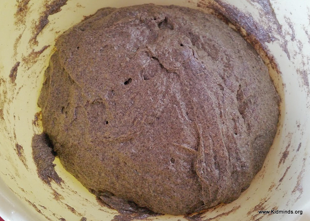 Buckwheat Bread no yeast, no milk, no eggs, no knead recipe KidMinds