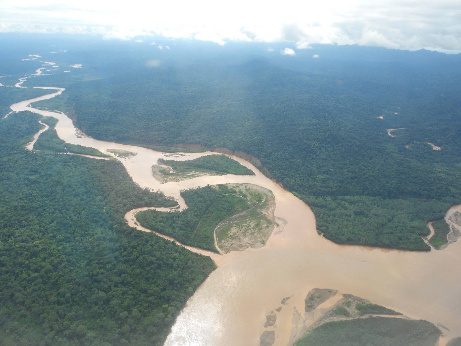 ... for pussy the kind of pussy i m thinking about the kind of pussy i am