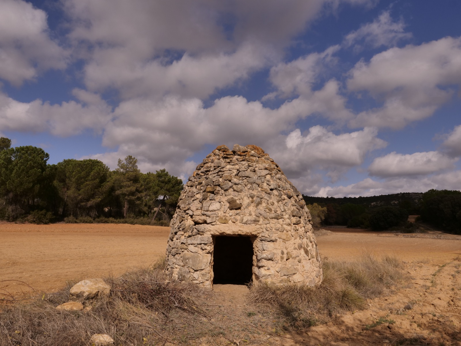 Foto de Molino 7 Barchin del Hoyo en Barchín del Hoyo, Cuenca