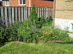 Scarborough Toronto back yard garden clean up before by Paul Jung Gardening Services