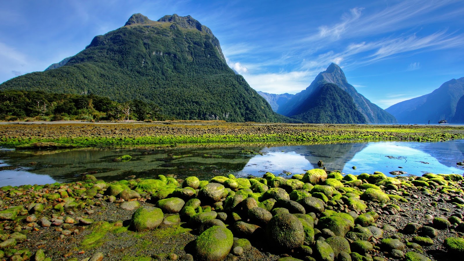 Viajes por todo el mundo: Imágenes de Nueva Zelanda