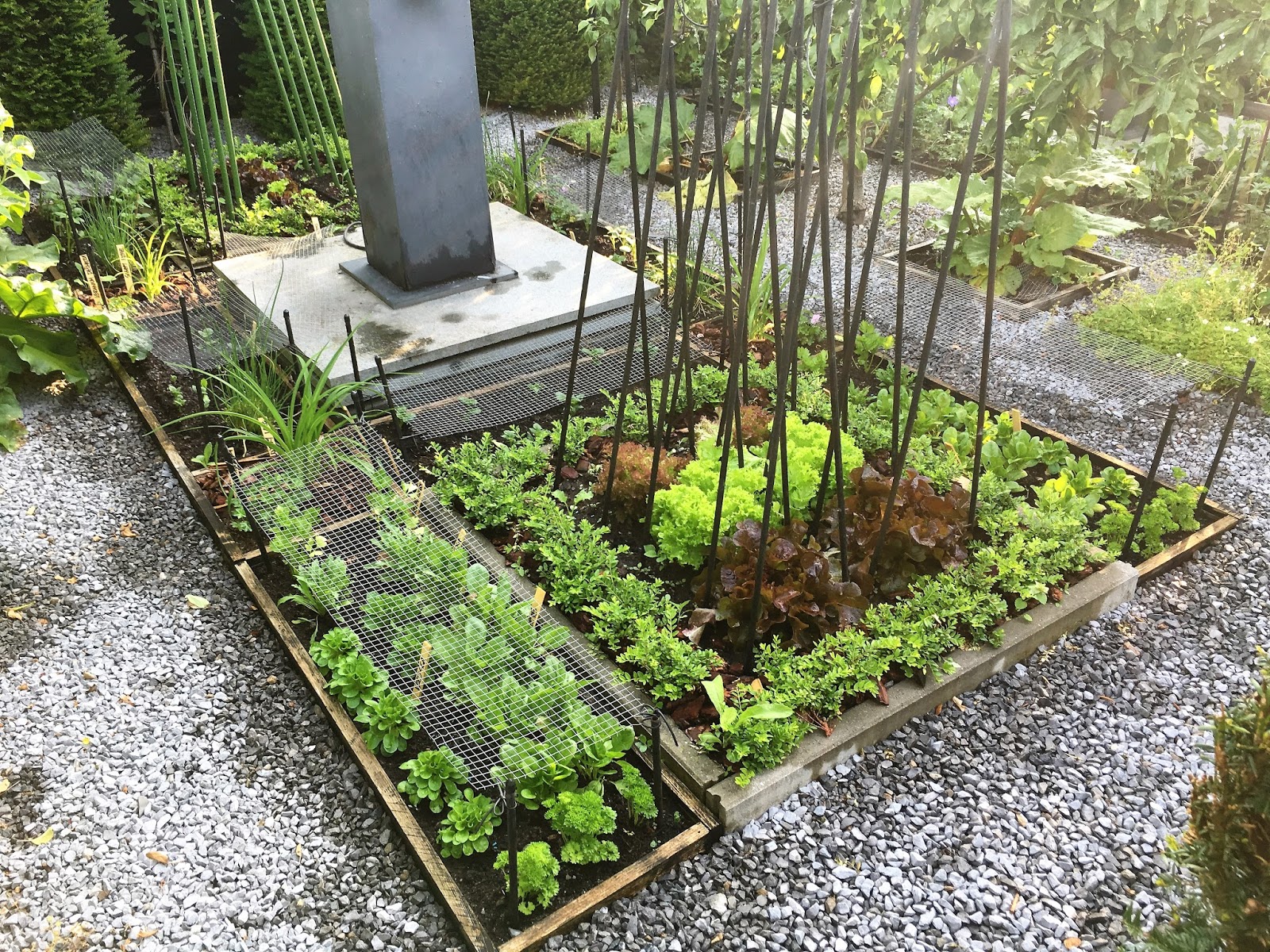 Potagerie in Maastricht 28.05.2017 > Vedgetables in Potagerie