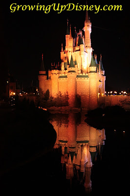 Magic Kingdom at Night