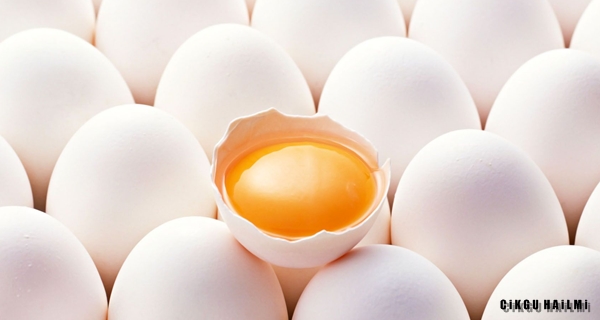 Putih Telur dan Kuning Telur : Mana Yang Lebih Sihat?