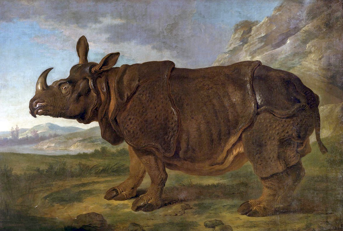 Jean-Baptiste Oudry, La rinoceronte Clara en París (1749), Staatliches Museum, Schwerin